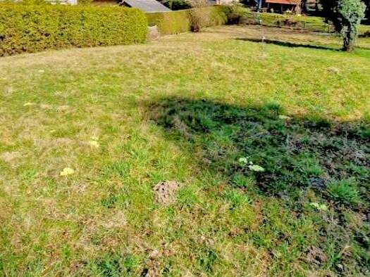 Grundstück zum Kauf 290.000 € 668 m² Grundstück Andritz Graz 8045