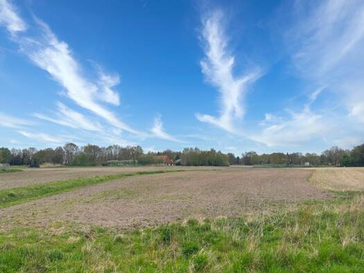 Land-/Forstwirtschaft zum Kauf 29.509 m² Grundstück Rühlermoor Twist 49767
