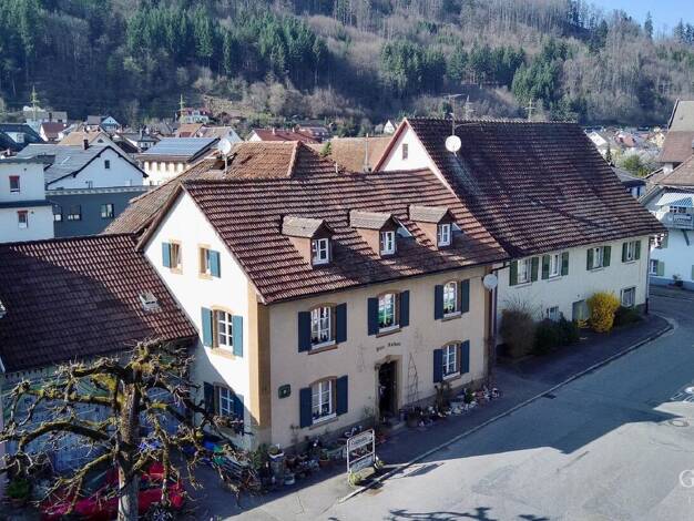 Einfamilienhaus zum Kauf 419.000 € 9 Zimmer 318 m² 312 m² Grundstück Hausen im Wiesental 79688