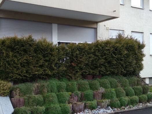 Wohnung zum Kauf provisionsfrei 134.000 € 1 Zimmer 35 m² Geschoss EG/3 Rechbergstr. 12 Wendlingen Wendlingen am Neckar 73240