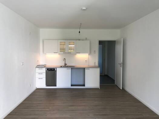 Terrassenwohnung zur Miete 450 € 1 Zimmer 34 m² EG frei ab sofort Röthenbach Röthenbach an der Pegnitz 90552