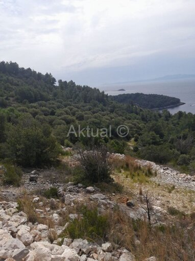 Land-/Forstwirtschaft zum Kauf 550.000 € Korcula Blato