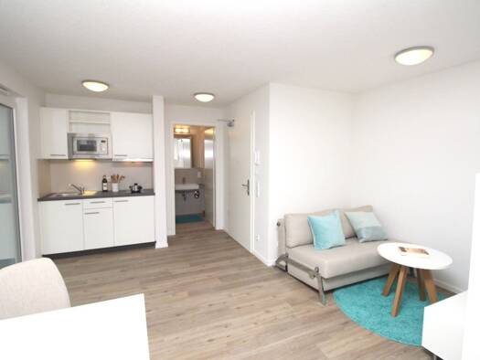 Studio zur Miete 550 € 1 Zimmer 35,6 m² frei ab sofort Doos Nürnberg 90429