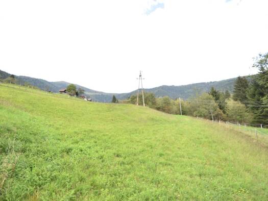 Land-/Forstwirtschaft zum Kauf 29.000 € 2.040 m² Grundstück Arriach 9543
