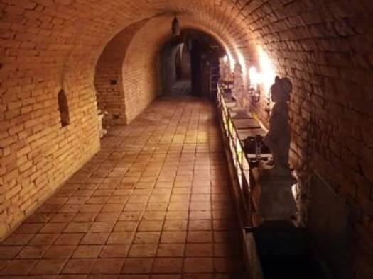 Weingut zur Versteigerung 85.000 € Pillichsdorf 2211