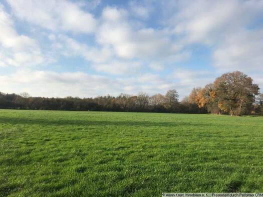 Land-/Forstwirtschaft zum Kauf 216.078 € 108.039 m² Grundstück Butteldorf Elsfleth 26931