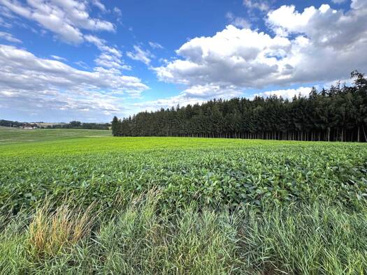 Land-/Forstwirtschaft zum Kauf 525.000 € 37.748 m² Grundstück Brandstätt Taufkirchen 84416