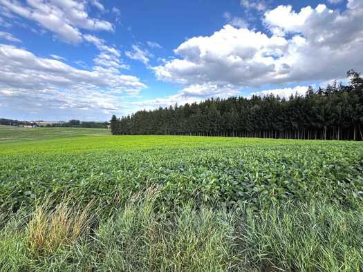 Land-/Forstwirtschaft zum Kauf 525.000 € 37.748 m² Grundstück Brandstätt Taufkirchen 84416