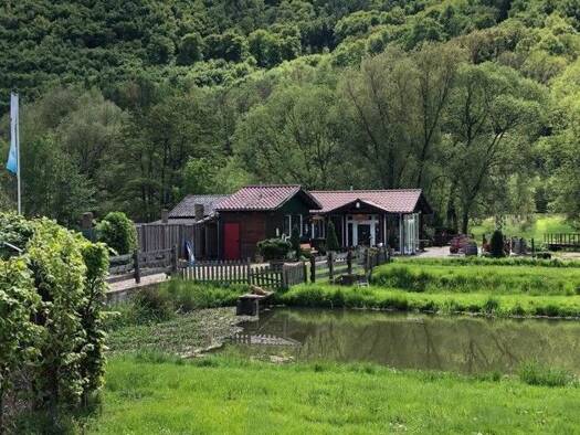 Einfamilienhaus zum Kauf 215.000 € 3 Zimmer 167 m² 14.527 m² Grundstück Beverungen Beverungen 37688