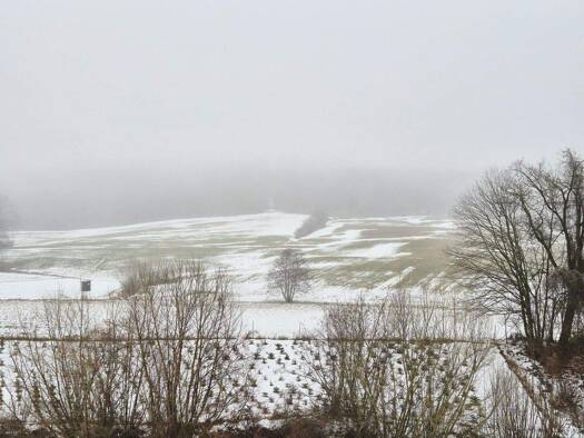 Land-/Forstwirtschaft zum Kauf 53.000 € 13.756 m² Grundstück Kilb 3233