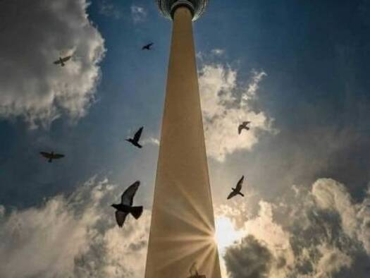 Loft zum Kauf 72 m² 5. Geschoss frei ab sofort Spandau Berlin 13595