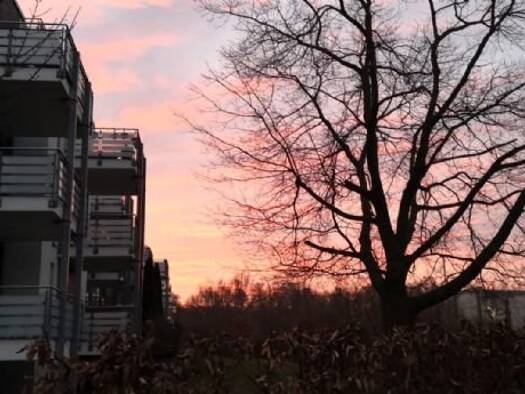 Wohnung zur Miete 700 € 2 Zimmer 57,2 m² frei ab 01.12.2026 Winsen Winsen (Luhe) 21423