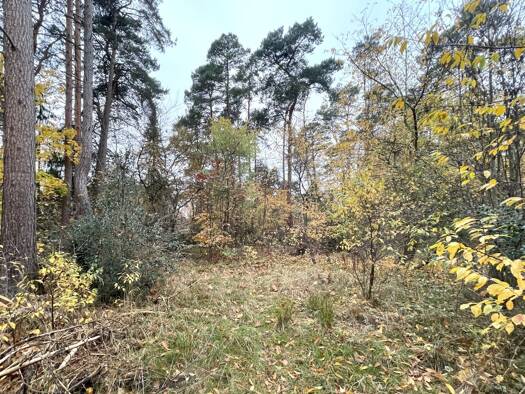 Grundstück zum Kauf 1.301 m² Grundstück Gifhorn 38518