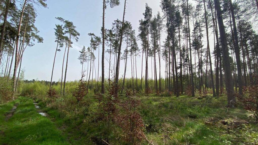 Land-/Forstwirtschaft zum Kauf 69.000 € 30.774 m² Grundstück Feuchtwangen 91555