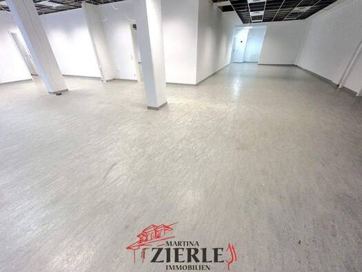 Lagerhalle zur Miete 6.500 € 585 m² Lagerfläche Stadtgebiet Göppingen 73033