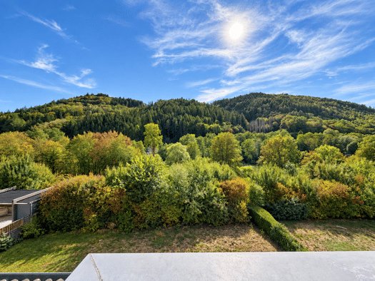Wohnung zur Miete 490 € 2,5 Zimmer 61 m² Geschoss 1/3 frei ab sofort Nikolaus-Barth-Weg 7 Kordel 54306