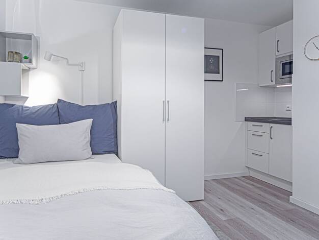 Studio zur Miete Wohnen auf Zeit 1.100 € 1 Zimmer 27 m² frei ab 01.06.2026 Friedrichstadt Düsseldorf 40215