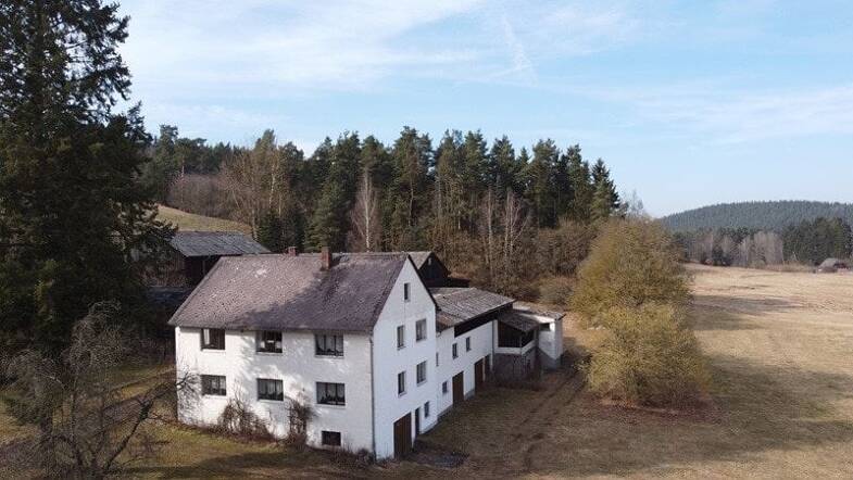 Bauernhaus zum Kauf 370.000 € 12 Zimmer 291,4 m² 12.400 m² Grundstück frei ab sofort Höchstädt Höchstädt 95186