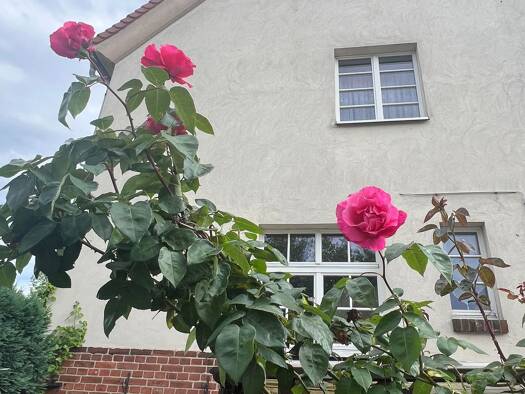 Reihenendhaus zum Kauf 4 Zimmer 79 m² 328 m² Grundstück Wolfen Bitterfeld-Wolfen 06766