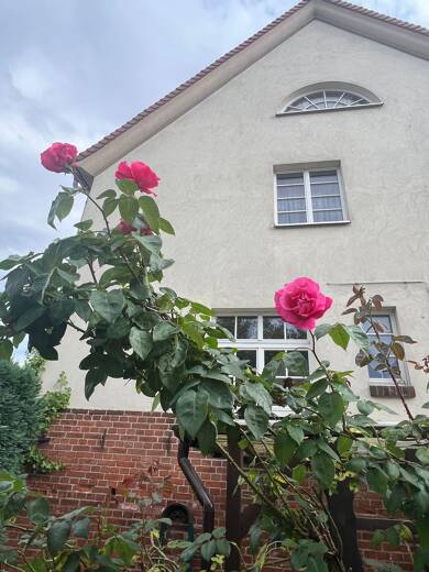 Reihenendhaus zum Kauf 4 Zimmer 79 m² 328 m² Grundstück Wolfen Bitterfeld-Wolfen 06766