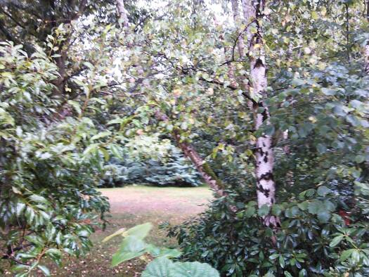 Haus zum Kauf 1.250.000 € 1.350 m² Grundstück Rote Hohl 28 Langenselbold 63505