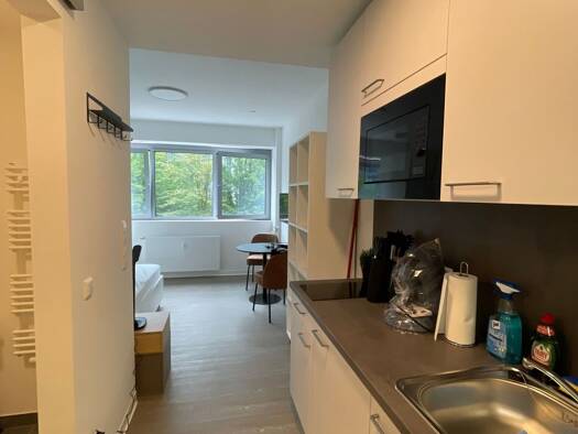Studio zur Miete 650 € 1 Zimmer 19,5 m² frei ab 01.10.2026 Schwanheim West 60528