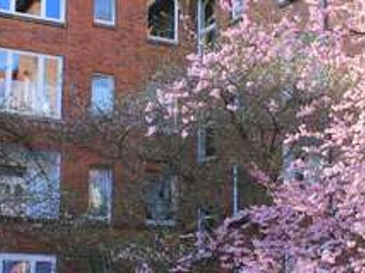 Wohnung zur Miete 650 € 2 Zimmer 70 m² Geschoss 2/4 frei ab sofort Halkettstraße 34 Vahrenwald Hannover 30165