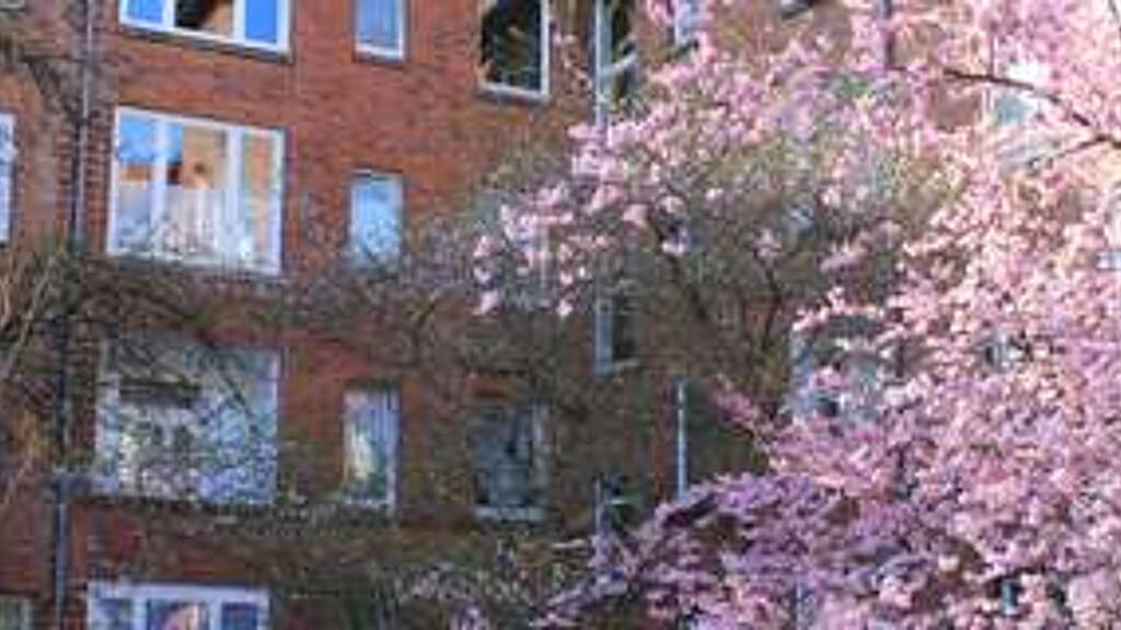 Wohnung zur Miete 650 € 2 Zimmer 70 m² Geschoss 2/4 frei ab sofort Halkettstraße 34 Vahrenwald Hannover 30165