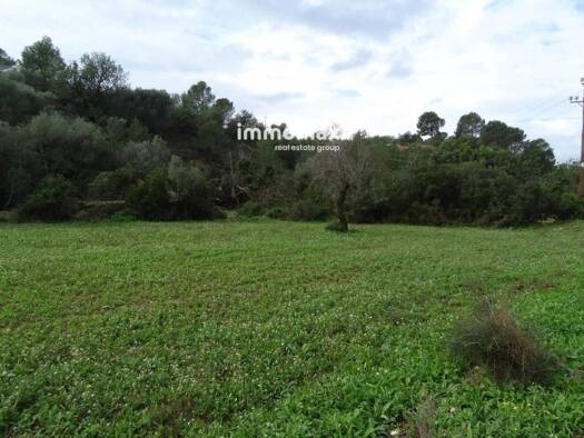 Acker-/Waldstück zum Kauf 46.000 € Tortosa 43500