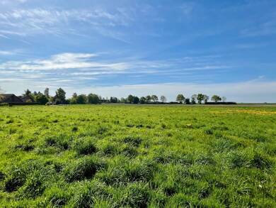 Grundstück zum Kauf provisionsfrei 102.220 € 760 m² Grundstück Wiedensahl 31719