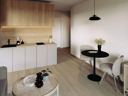 Wohnung zum Kauf provisionsfrei 169.900 € 1 Zimmer 24,4 m² 2. Geschoss Schlesische Straße 107 Straubing 94315