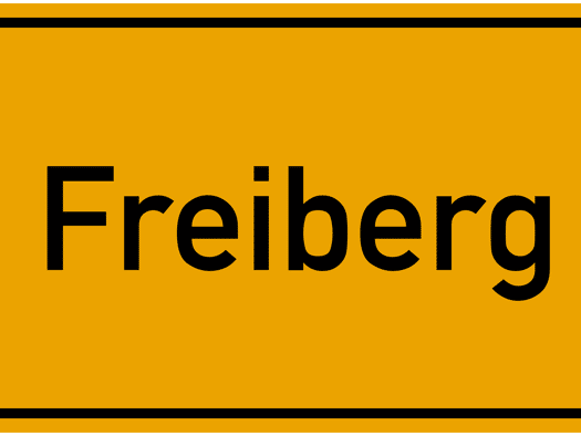 Produktionshalle zum Kauf 6.999.000 € 33.135,3 m² Lagerfläche teilbar von 10.000 m² bis 10.000 m² Freiberg 09599