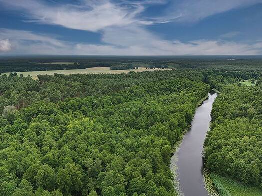 Land-/Forstwirtschaft zum Kauf 4.500 € 6.511 m² Grundstück Wolzig Heidesee 15754