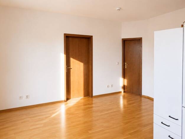 Wohnung zur Miete 440 € 1,5 Zimmer 45,4 m² 1. Geschoss frei ab sofort Ernst-Moritz-Arndt-Str. 3 Paulusviertel Halle (Saale) 06114