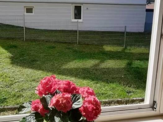 Wohnung zur Miete 370 € 1 Zimmer 38 m² Geschoss EG/3 frei ab sofort Hopfengartenstraße Gaustadt Bamberg 96049