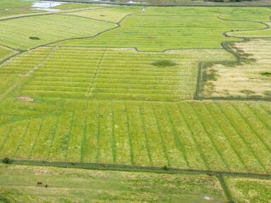 Land-/Forstwirtschaft zum Kauf 35.341 m² Grundstück Sankt Peter-Ording 25826