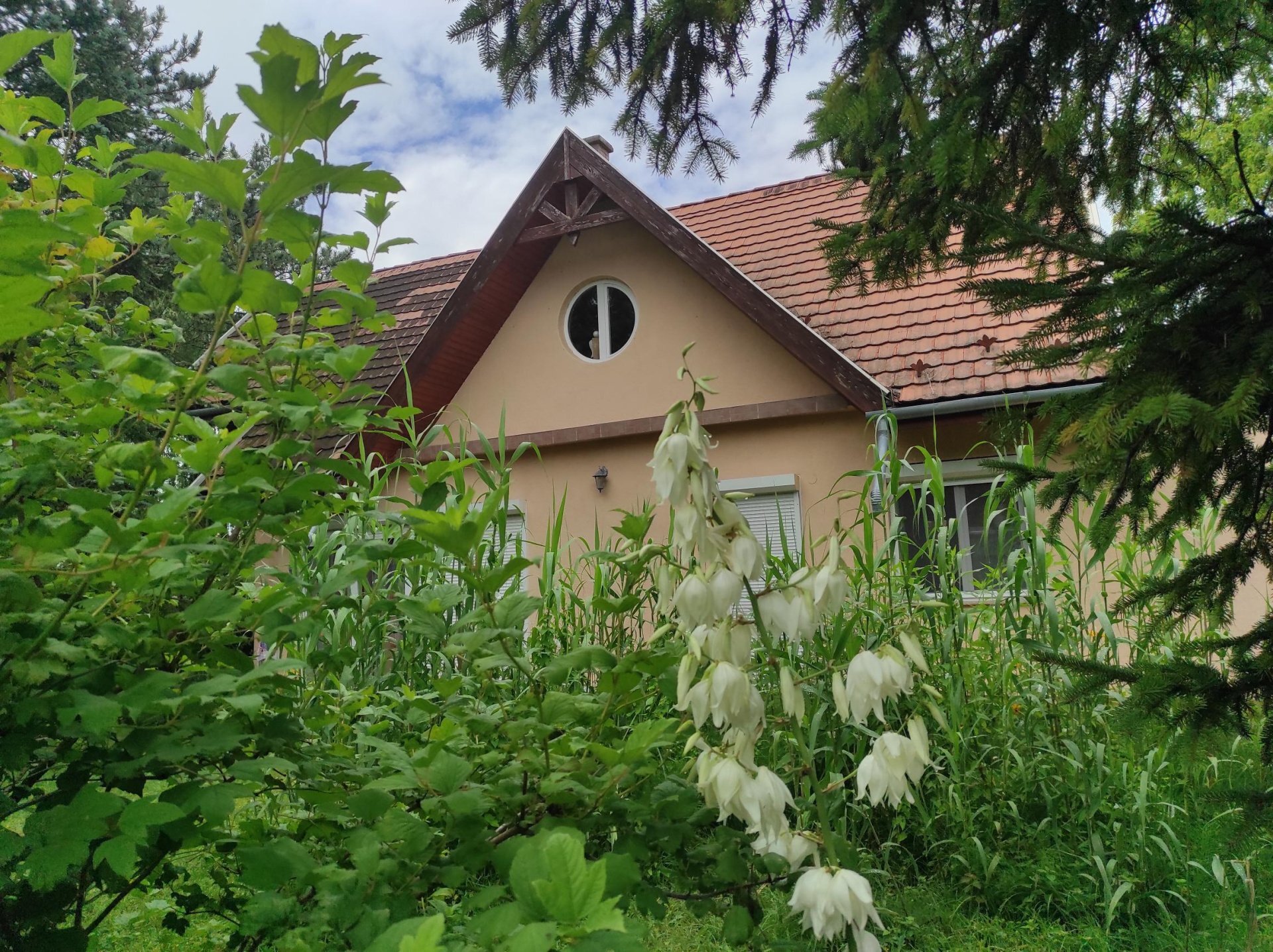 Einfamilienhaus zum Kauf provisionsfrei 337.900 € 5 Zimmer 160 m²<br/>Wohnfläche 698 m²<br/>Grundstück ab sofort<br/>Verfügbarkeit Balatonmáriafürdo