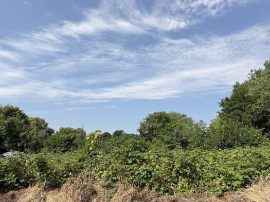 Grundstück zum Kauf 119.000 € 800 m² Grundstück Visselhövede 27374