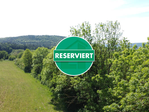 Land-/Forstwirtschaft zum Kauf 13.500 € 4.564 m² Grundstück Berching 92334