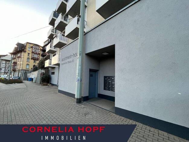 Wohnung zur Miete 539 € 1 Zimmer 31,7 m² 1. Geschoss Kahlaische Str. 32 Zentrum Jena 07743