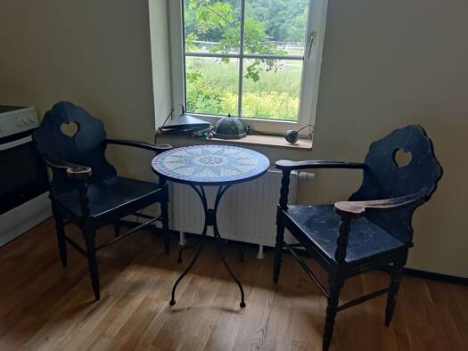 Wohnung zur Miete 400 € 1 Zimmer 19,3 m² frei ab sofort Kasseedorf Kasseedorf 23717