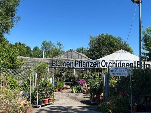 Haus zum Kauf 240.000 € 3 Zimmer 130 m² 3.995 m² Grundstück Hebenshausen Neu-Eichenberg / Hebenshausen 37249