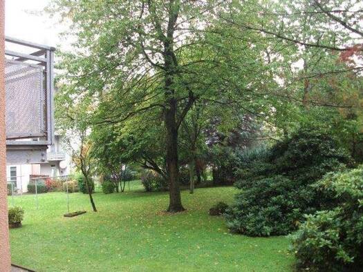 Wohnung zur Miete 248 € 2 Zimmer 46,4 m² Geschoss EG/4 frei ab sofort Helmholtzstraße 48 Hilbersdorf Chemnitz 09131