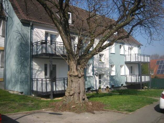 Wohnung zur Miete 420 € 2,5 Zimmer 46,1 m² 1. Geschoss frei ab 02.08.2025 Abboweg 8 Hangeney Dortmund 44379