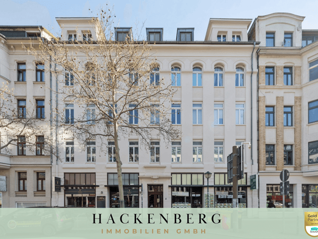 Mehrfamilienhaus zum Kauf 2.295.000 € 35 Zimmer 978,2 m² 680 m² Grundstück Reudnitz-Thonberg Südost 04317