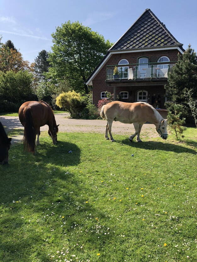 Einfamilienhaus zum Kauf provisionsfrei 670.000 € 4 Zimmer 160 m² 23.000 m² Grundstück Braderup 25923