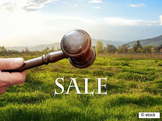 Land-/Forstwirtschaft zum Kauf 300 € 1.776 m² Grundstück Nitzow Havelberg 39539