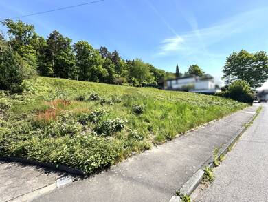 Grundstück zum Kauf 325.000 € 1.545 m² Grundstück Steinau Petersberg-Steinau 36100