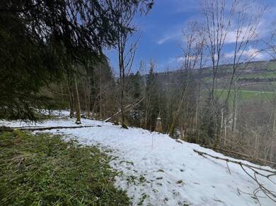 Land-/Forstwirtschaft zum Kauf 21.500 € 8.683 m² Grundstück Wertach 87497