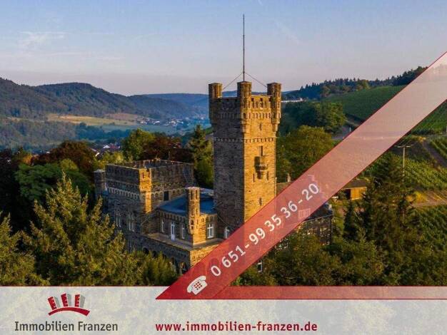 Schloss zum Kauf 15 Zimmer 850 m² 13.000 m² Grundstück Serrig 54455